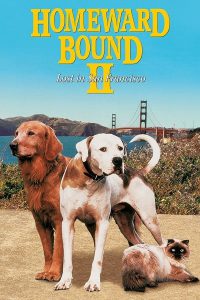 Homeward Bound in San Francisco (1996)